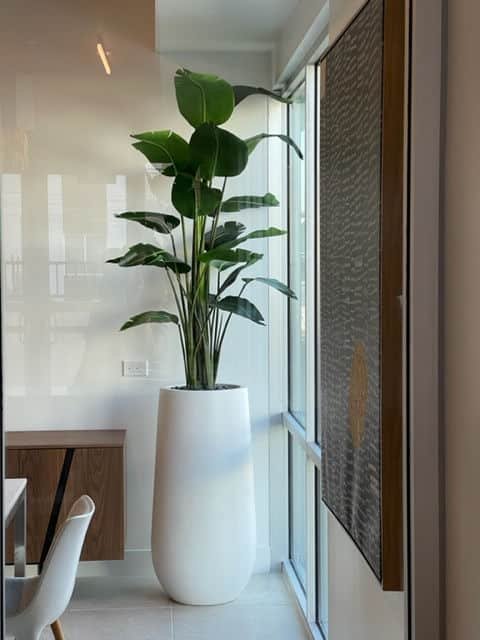 Bohemian and Tropical Aesthetics with bird of paradise artificial plant