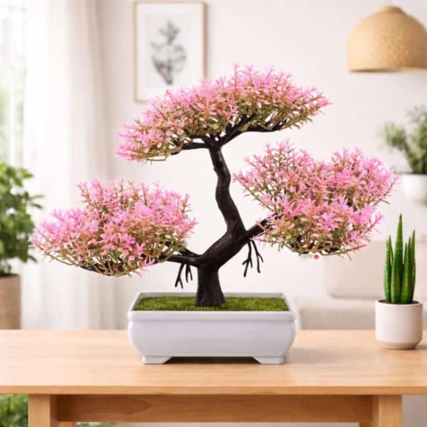 Cherry blossom bonsai for Contemporary and Eclectic Decor