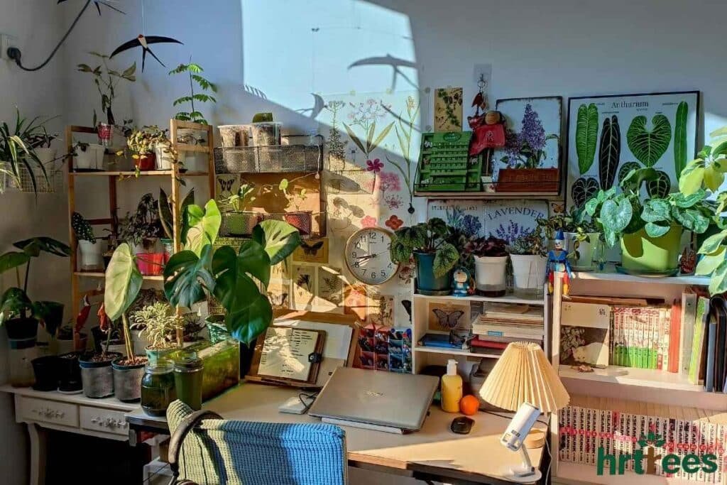 cluttered with fake plants
