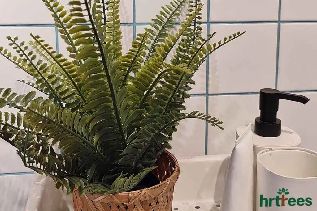 fake Ferns for Low-Level Texture in bathroom