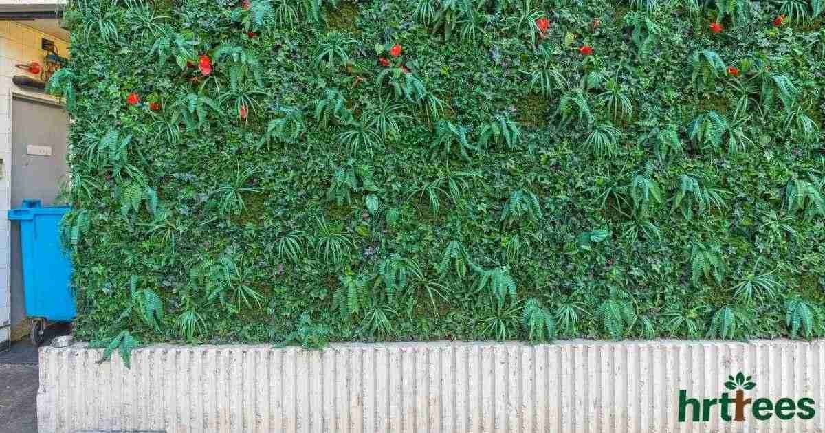 fake hedges featured image
