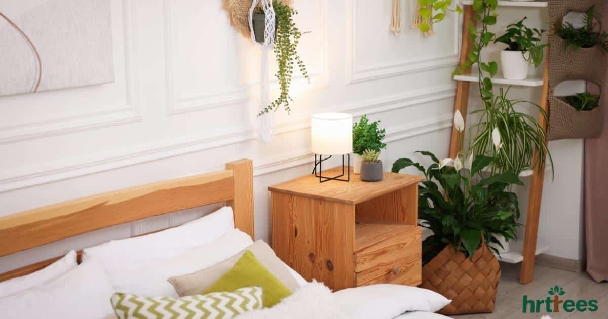 fake plants in bedroom featured image