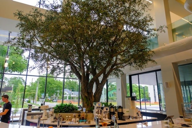 Large Artificial plant for commercial decor