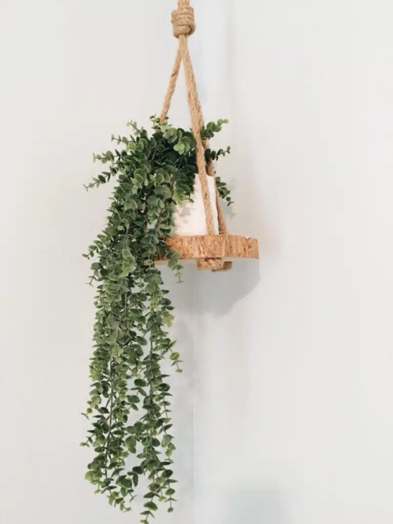 Artificial hanging eucalyptus plants