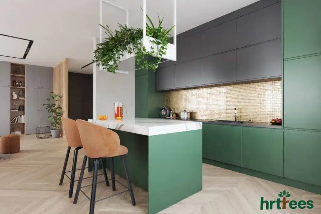hanging vine in kitchen
