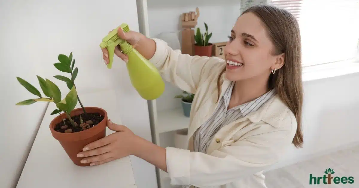 how do you weatherproof artificial plants featured image