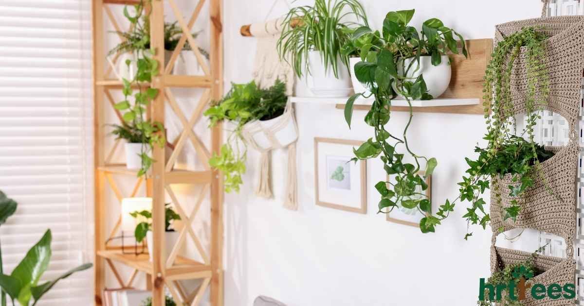how to decorate with fake vines featured image