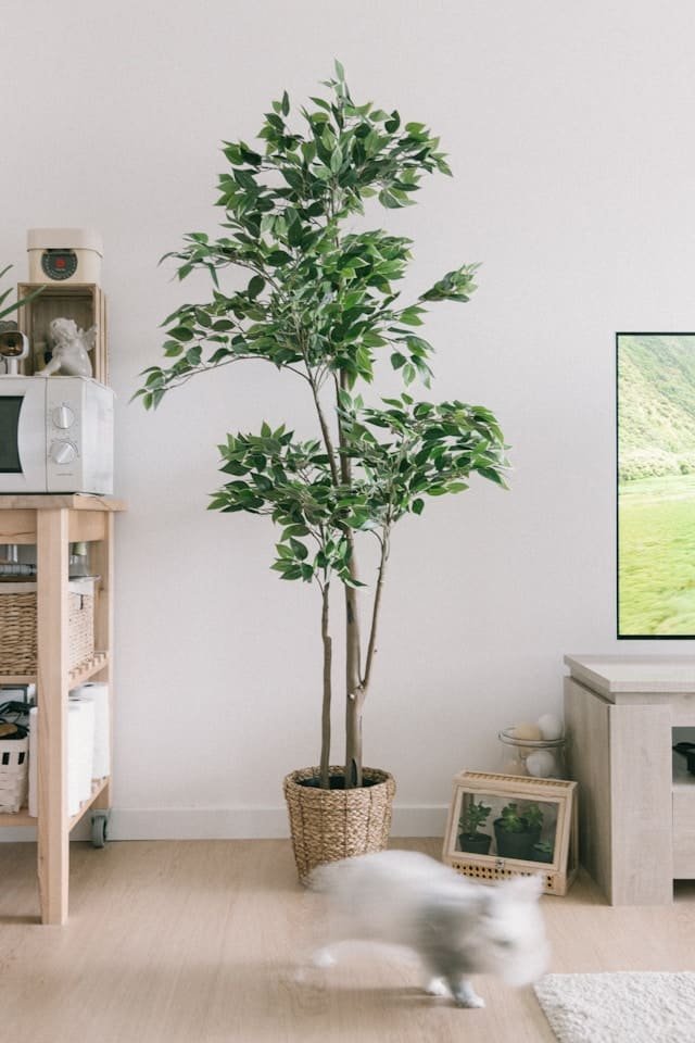 Artificial olive tree for home decor