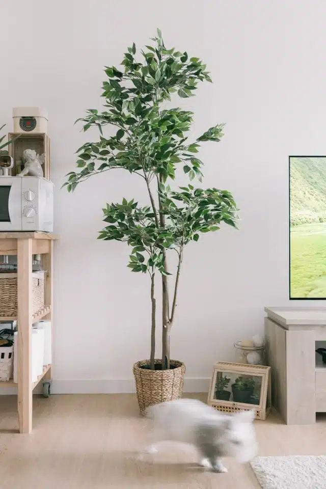 Artificial olive tree for home decor