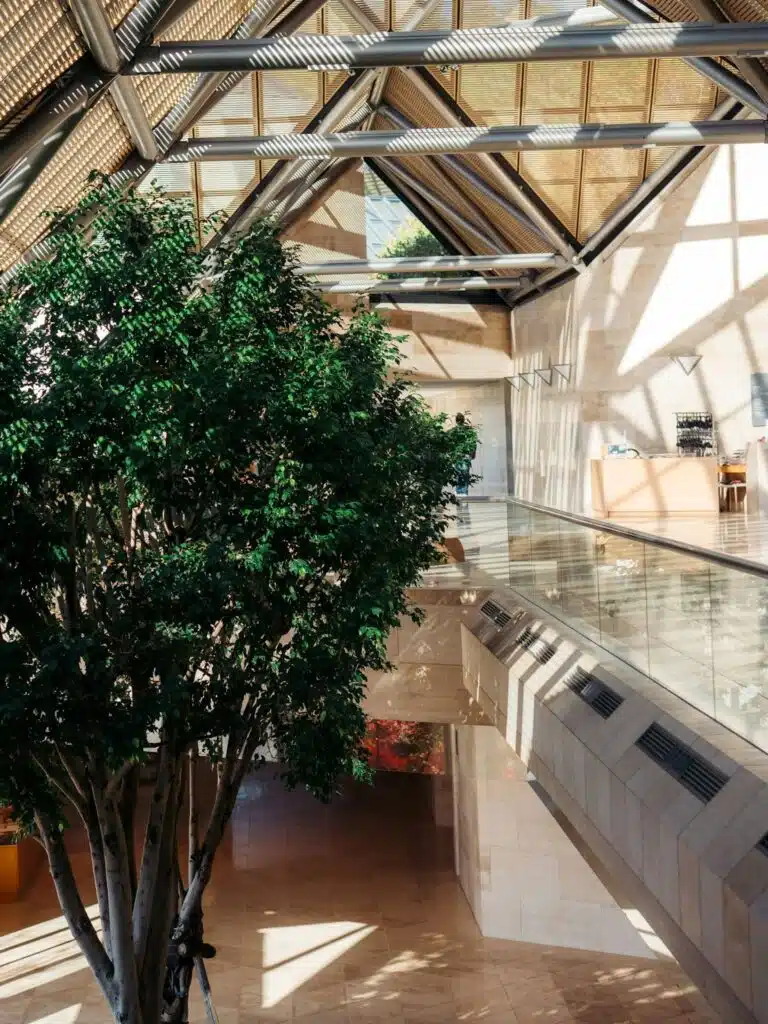 Artificial plant in Corporate atriums and public buildings