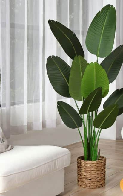 Fake Plants inside the House