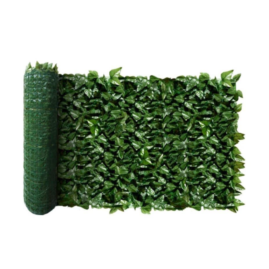 laurel hedge