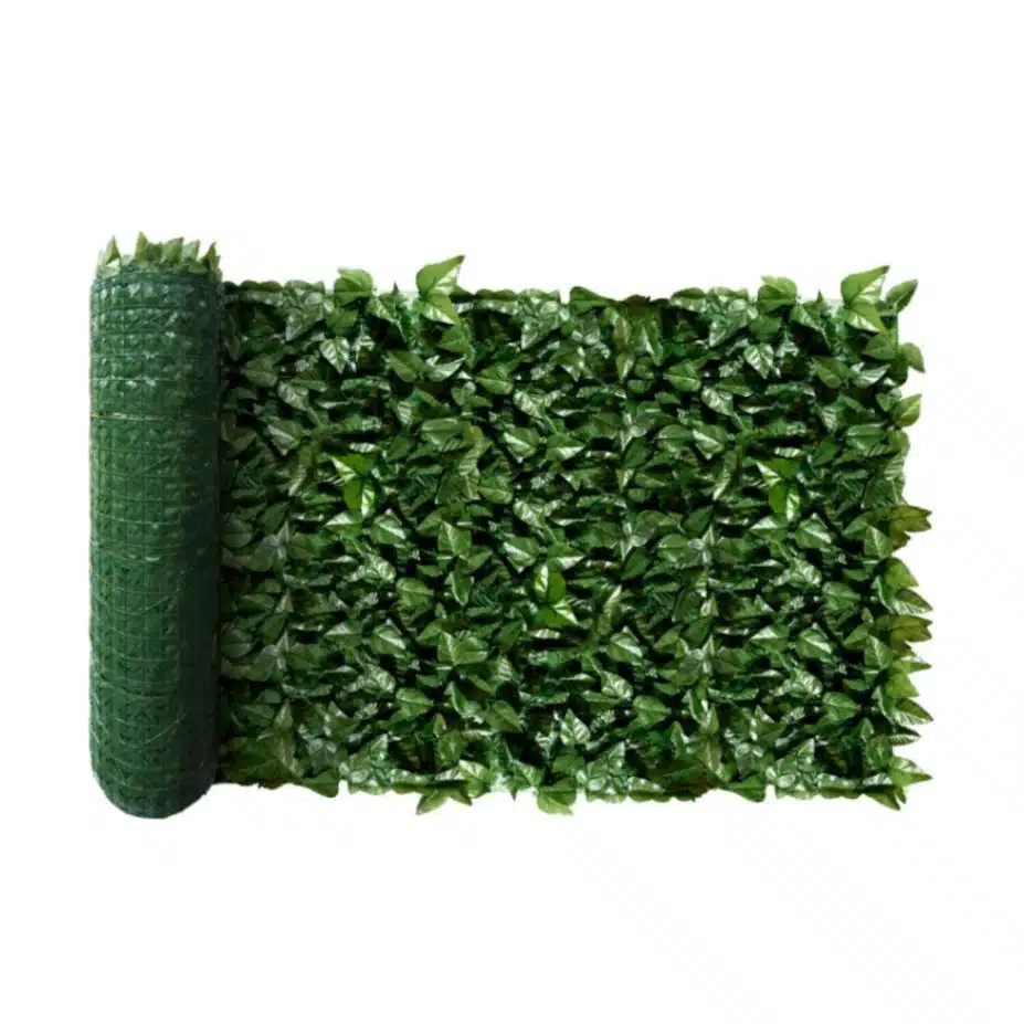 laurel hedge