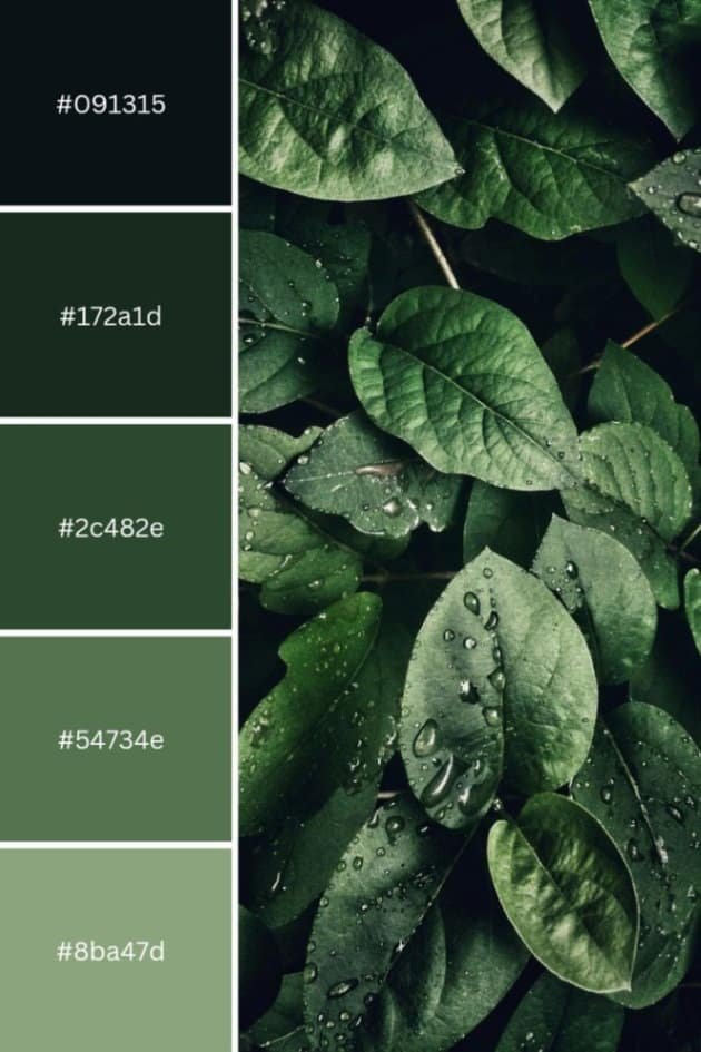 Pantone color-codes for green leaves