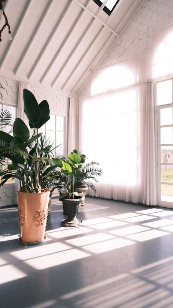Long lasting Artificial Plants