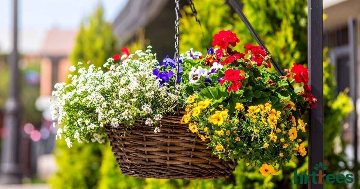 realistic artificial hanging baskets featured image
