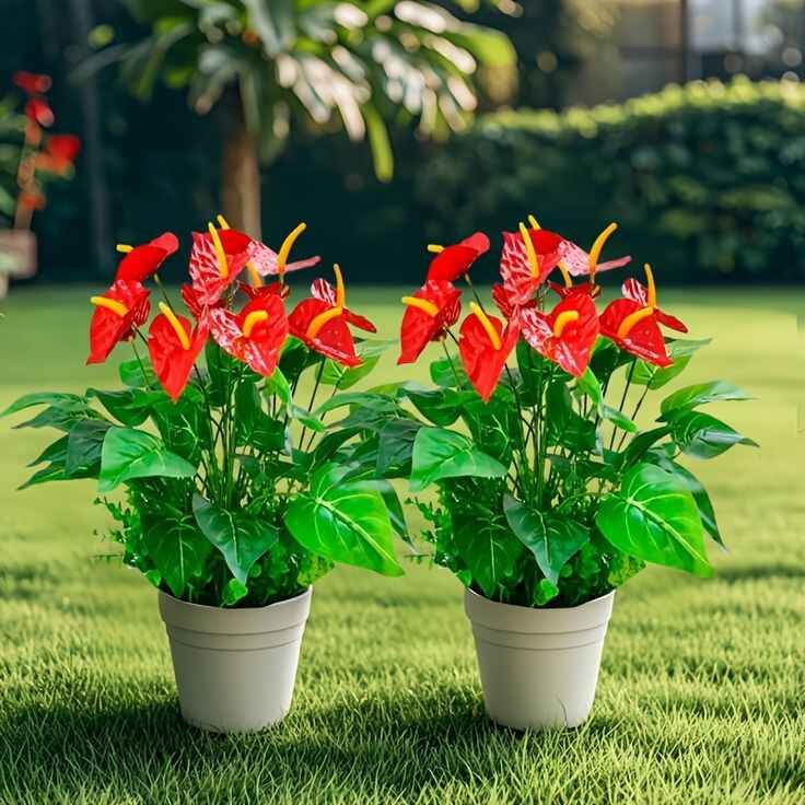 Seasonal Decor in Pots