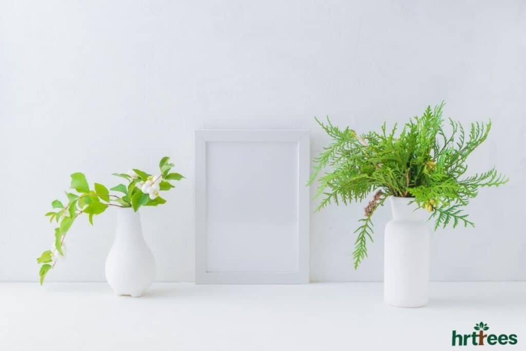 semi realistic plastic plants