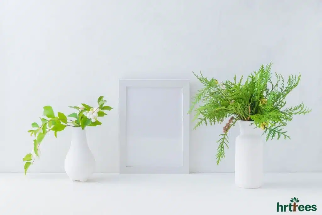 semi realistic plastic plants