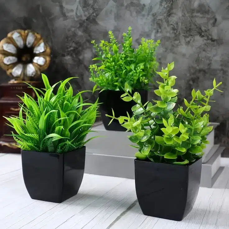 Waterproof Coating Spray on artificial plants