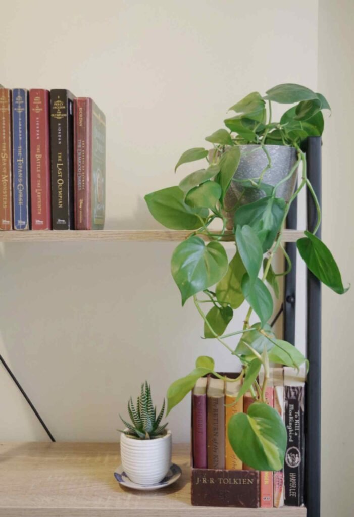 Styling Bookshelves and High Ledges with Artificial Hanging Plants