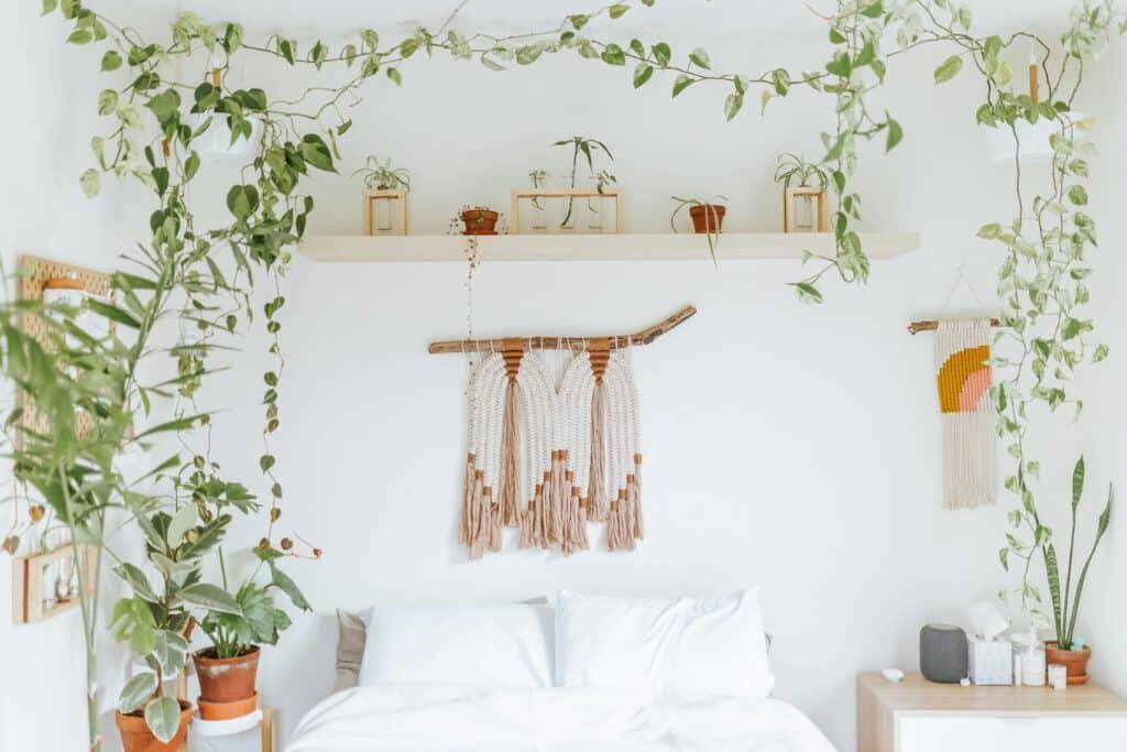 Creating Green Accents with vine pinned on walls