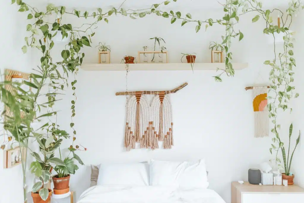 Creating Green Accents with vine pinned on walls