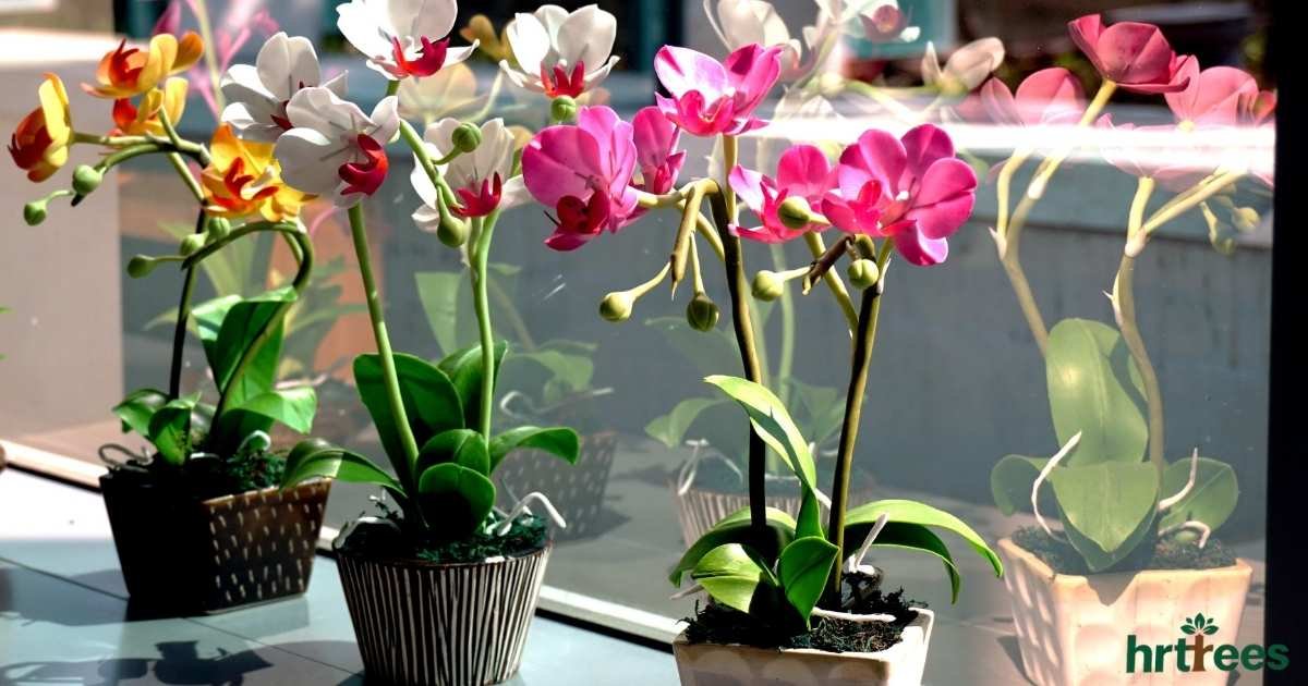 what are fake flowers made of featured image