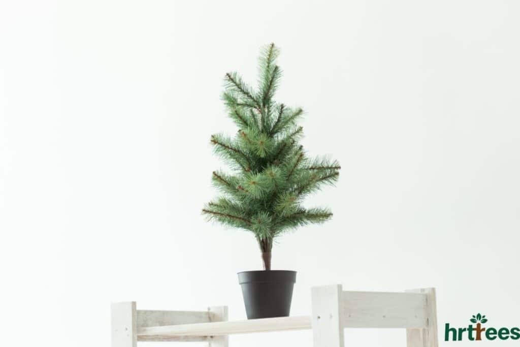 wholesale artificial pine tree on tabletop