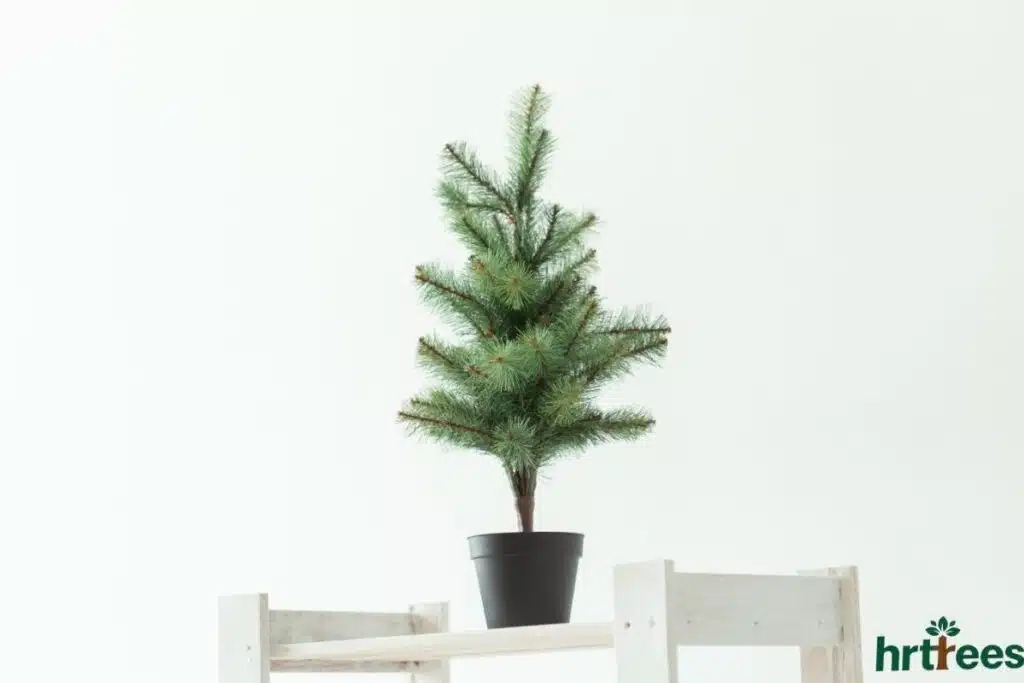 wholesale artificial pine tree on tabletop